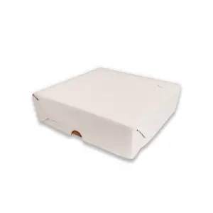 Caixa para Salgados DSTF 05 - 20 x 20 x 5 cm - 22 Unidades