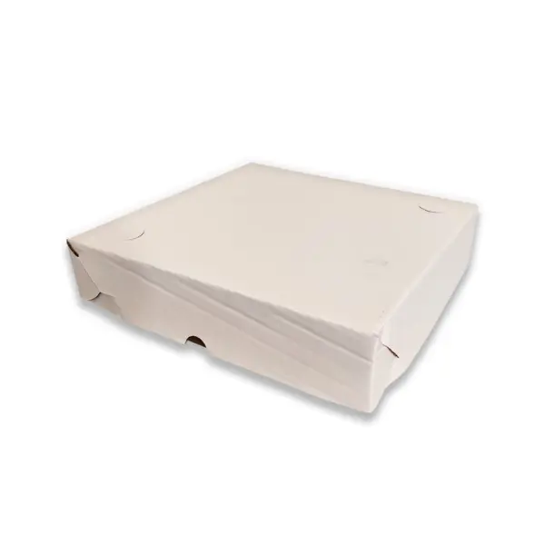 Caixa para Salgados DSTF 01 - 25 x 25 x 5 cm - 50 Unidades