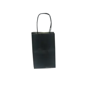 20161125_140914_RichtoneHDR0-510x511-1.png Sacola Preta com Cordão PP - 19 x 7 x 12 cm - 10 Unidades