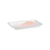 B2.webp Bandeja de Isopor B2 - 21 x14 x 2,5 cm - 100 Unidades