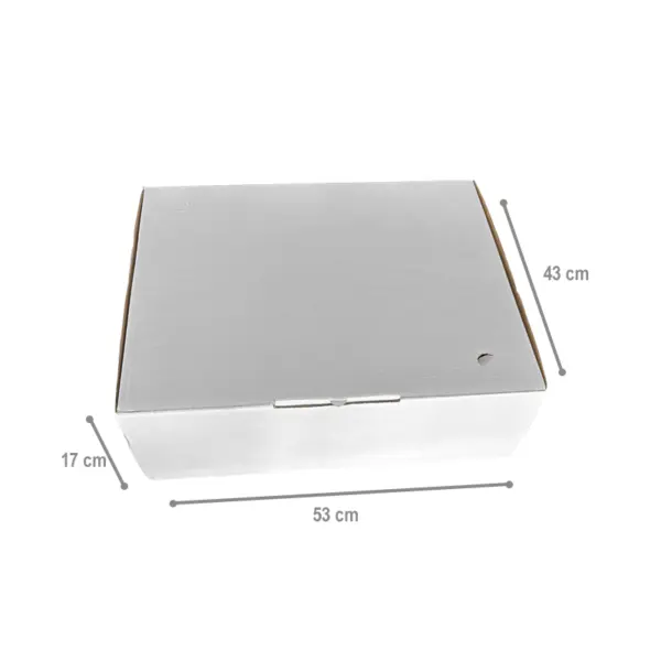 Caixa-Bolo-GGG-53x43x17-01.png Caixa Bolo GGG - 53 x 43 x 17 cm - 25 Unidades.