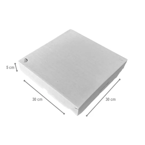 Caixa Salgado/Esfirra G - 30 x 30 x 5 cm - 25 Unidades.
