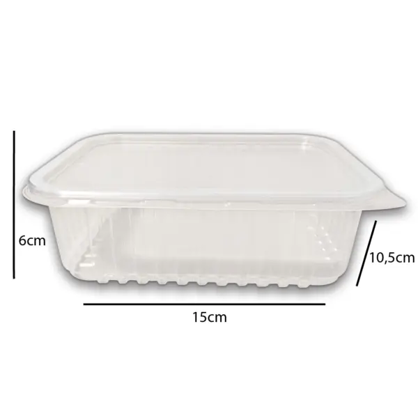 Embalagem Freezer e Microondas (1.000 ml) 15 x 6 x 10,5 cm - 24 Unidades