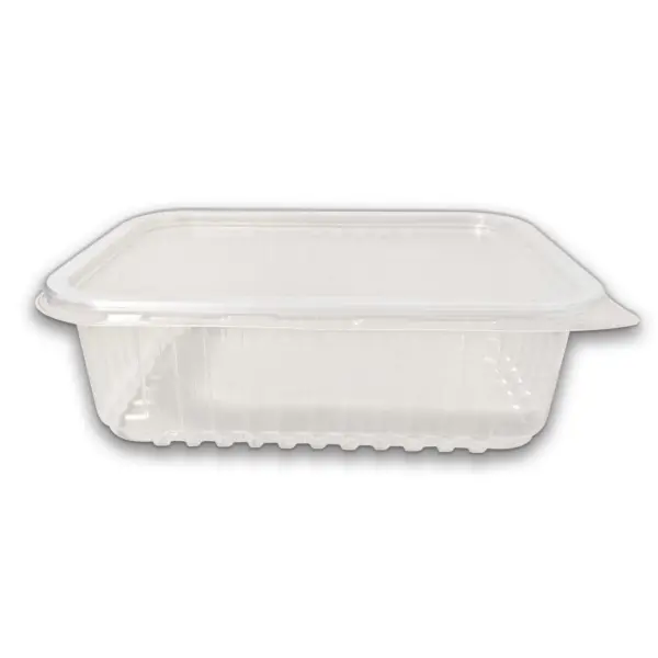 Embalagem Freezer e Microondas (1.000 ml) 15 x 6 x 10,5 cm - 24 Unidades