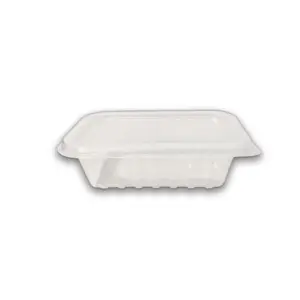 Embalagem Freezer e Microondas (250 ml) - 10 x 4 x 6 cm - 24 Unidades