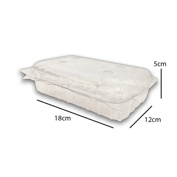 Embalagem Pote P 60 - 18 x 12 x 5 cm - 100 Unidades
