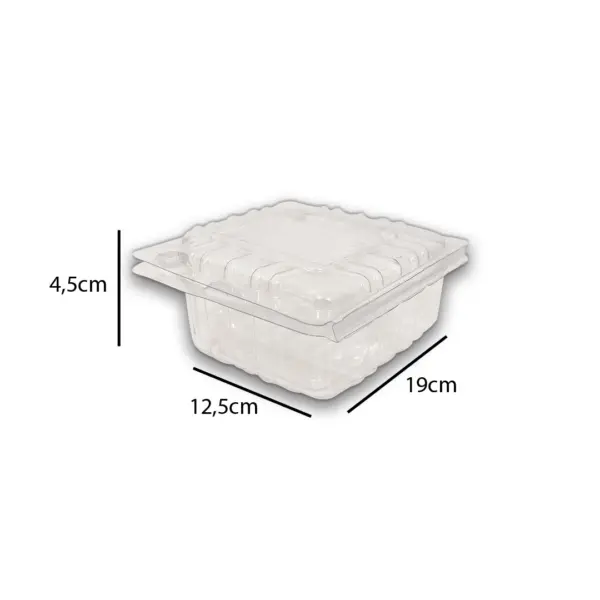 Embalagem Pote P 8 - 19 x 12,5 x 4,5 cm - 100 Unidades