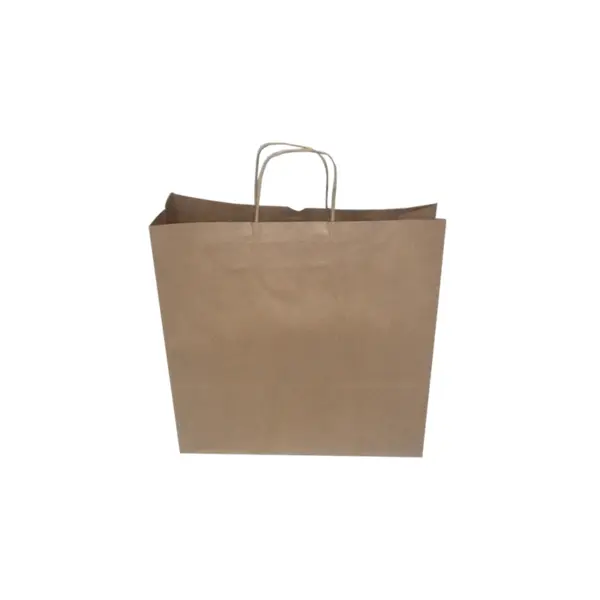 Sacola Kraft com Cordão M - 30,5 x 23,7 x 10 cm - 10 Unidades