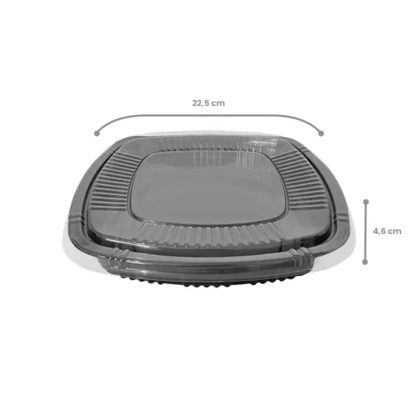 Embalagem Sushi IV - 22,5 x 22,5 x 4,6 cm - 100 Unidades