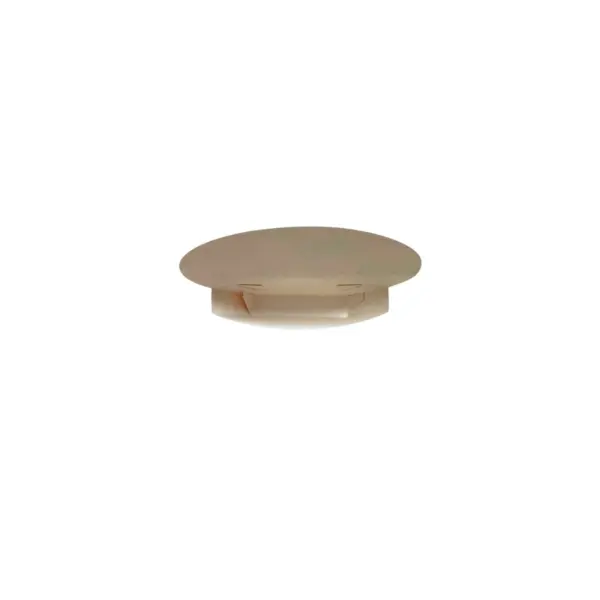 Mini Pizza Brotinho - Pct./ 100 Unidades