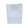 Sacola Branca com Alça Vazada M - 24 x 10 x 31 cm - 10 Unidades