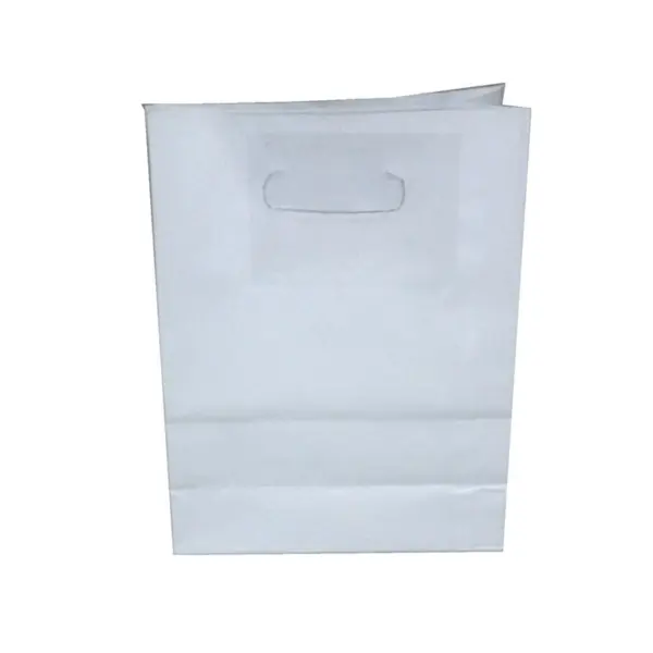 Sacola Branca com Alça Vazada M - 24 x 10 x 31 cm - 10 Unidades
